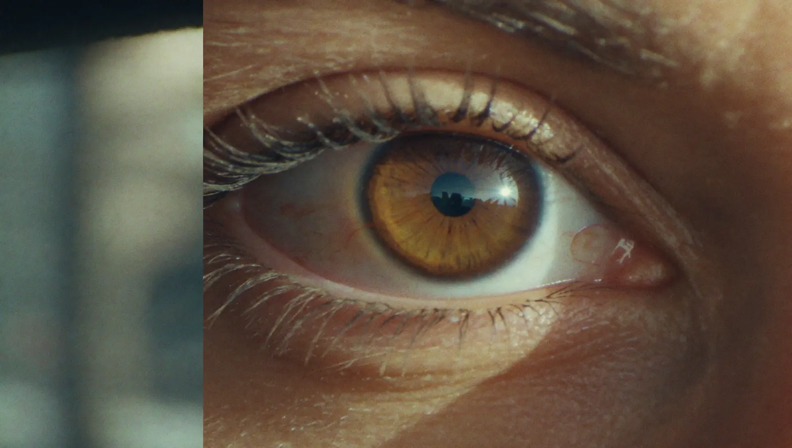 A close-up of an amber eye, a city skyline reflected in the pupil, in the TISHA grade.